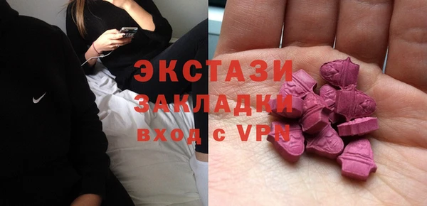 спиды Богородицк