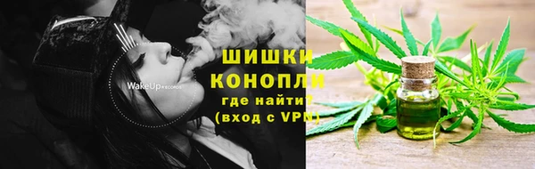спиды Богородицк
