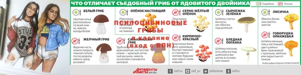 спиды Богородицк