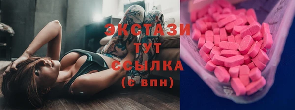 спиды Богородицк