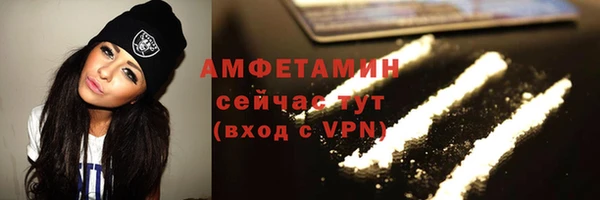 спиды Богородицк