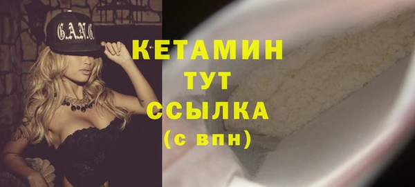 спиды Богородицк