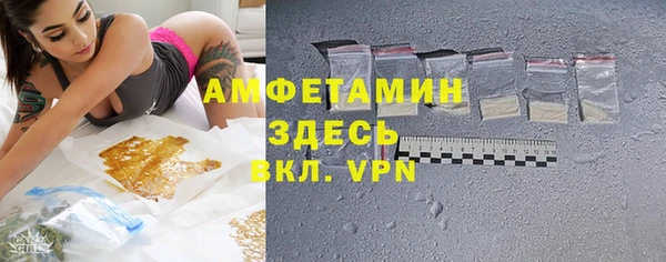 спиды Богородицк