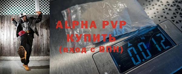 прущие грибы Богородск