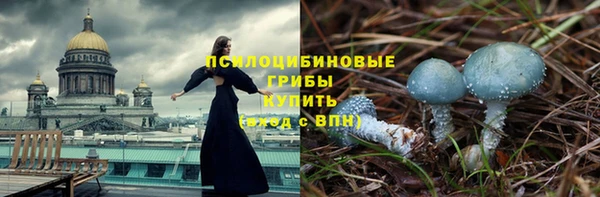 тгк Богданович