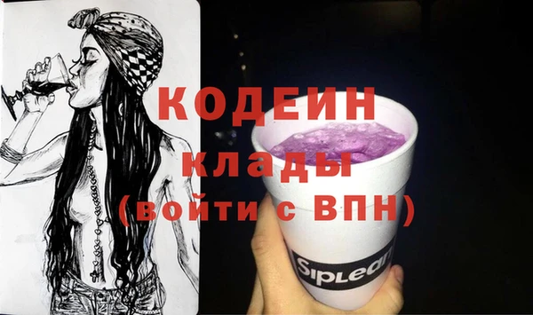 спиды Богородицк