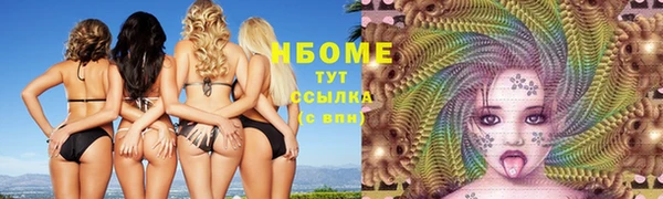 прущие грибы Богородск