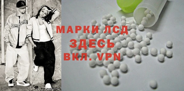 прущие грибы Богородск