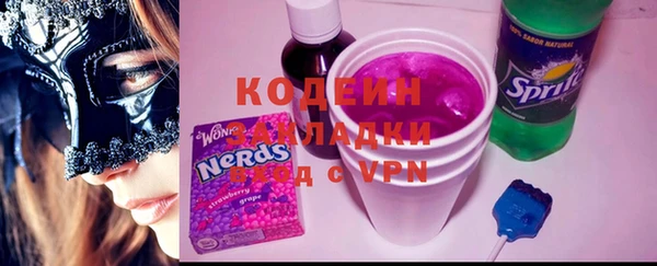 спиды Богородицк